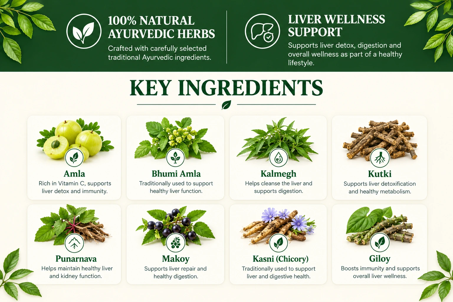 Liver Care Syrup ingredinets