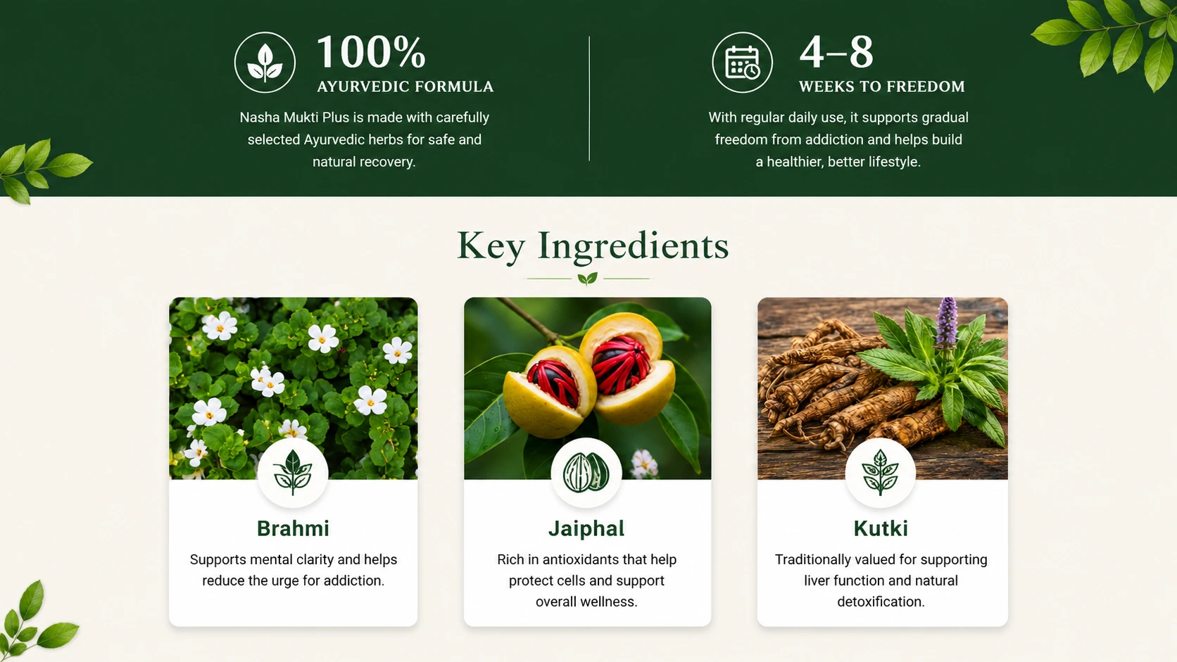 nasha mukti plus ingredients