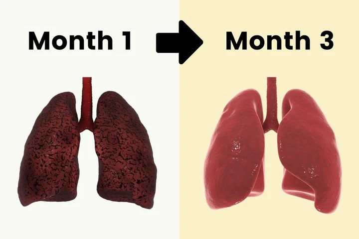 LUNGS