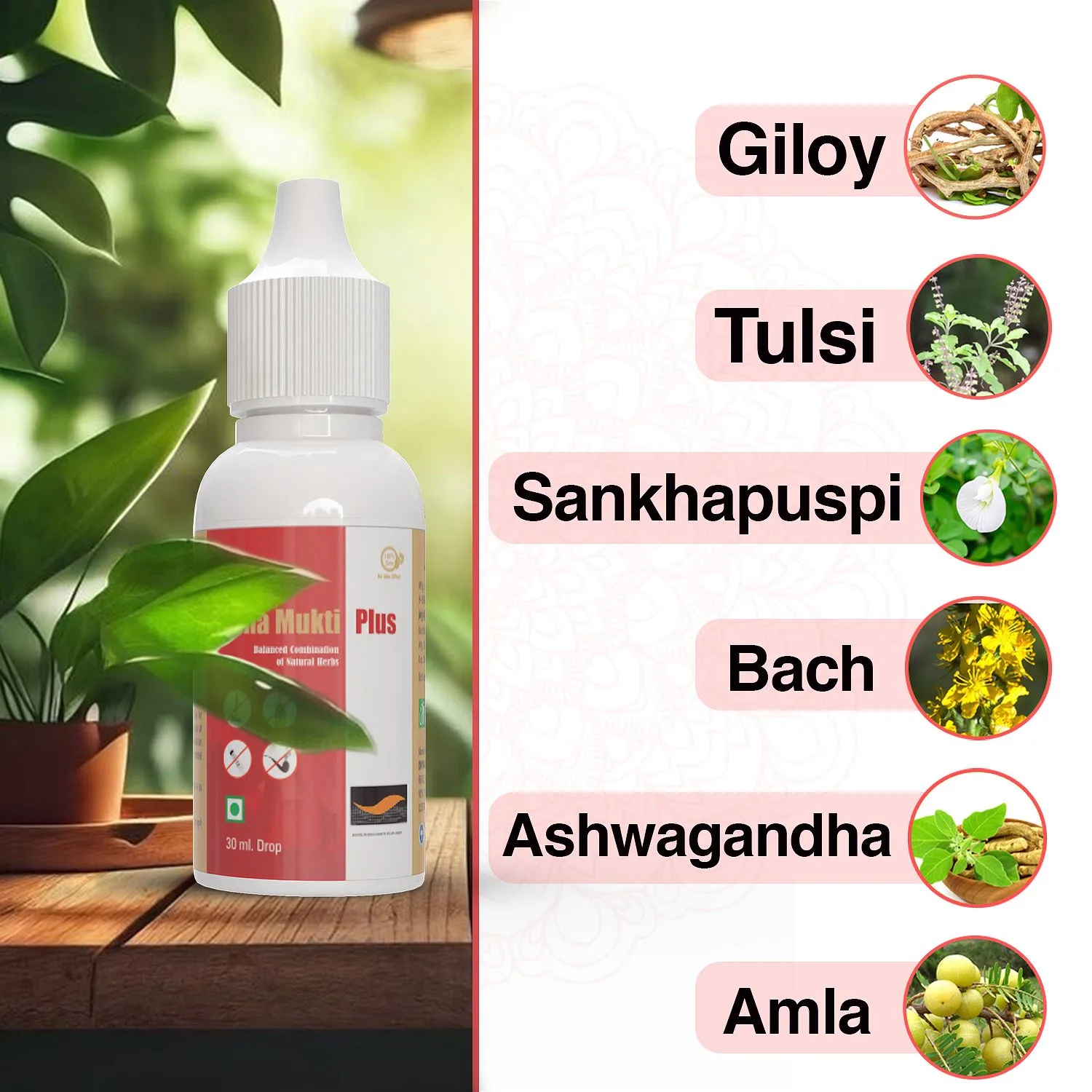 Divya Shri Nasha Mukti Plus Herbal Drops - 5 x 30ml - Ayurvedic Herbal Formulation - Image 2